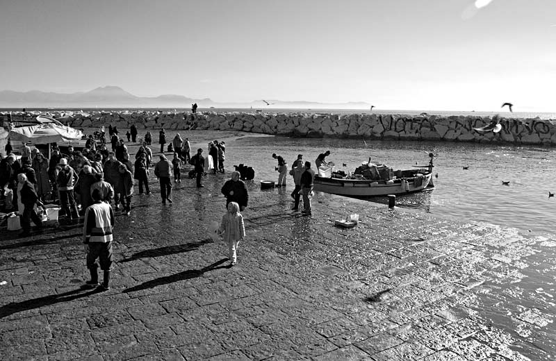 IMG_3552BW_800.jpg