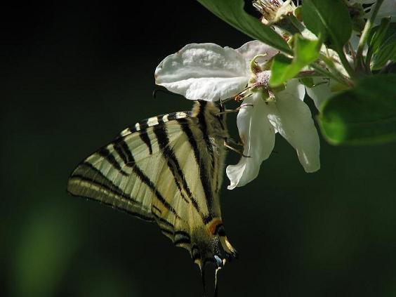 IMG_3575.JPG