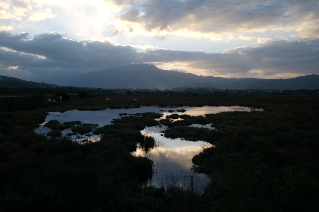 IMG_3576.jpg