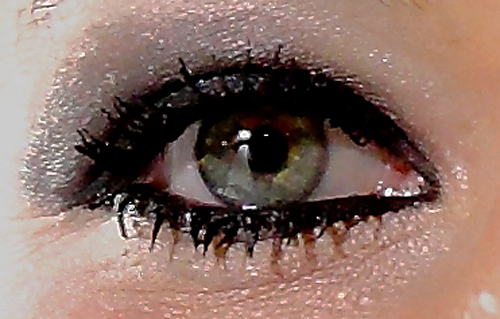 IMG_3659_crop2.jpg