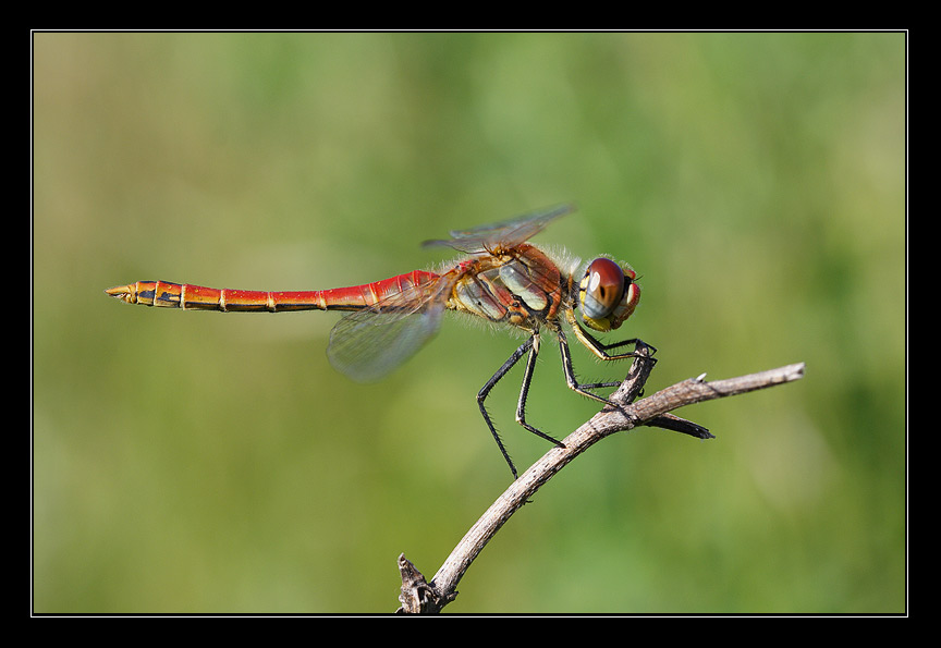 IMG_3773web.jpg
