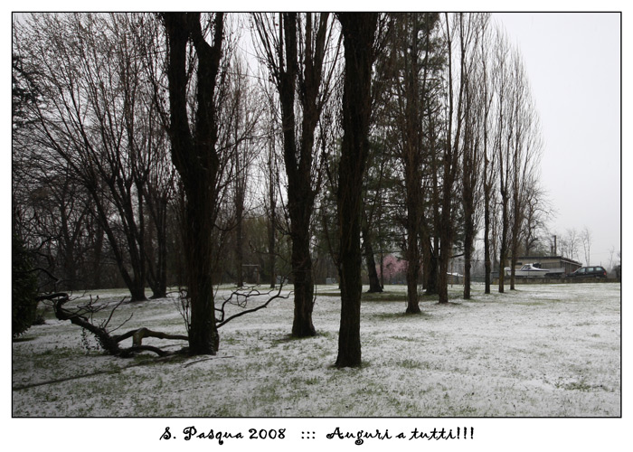 IMG_3792_web.jpg
