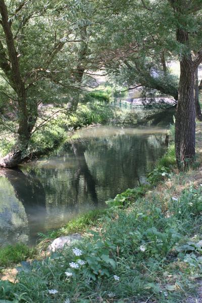 IMG_3851 (Medium).JPG