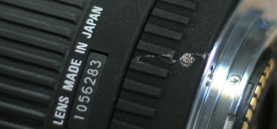 IMG_3883_crop.jpg