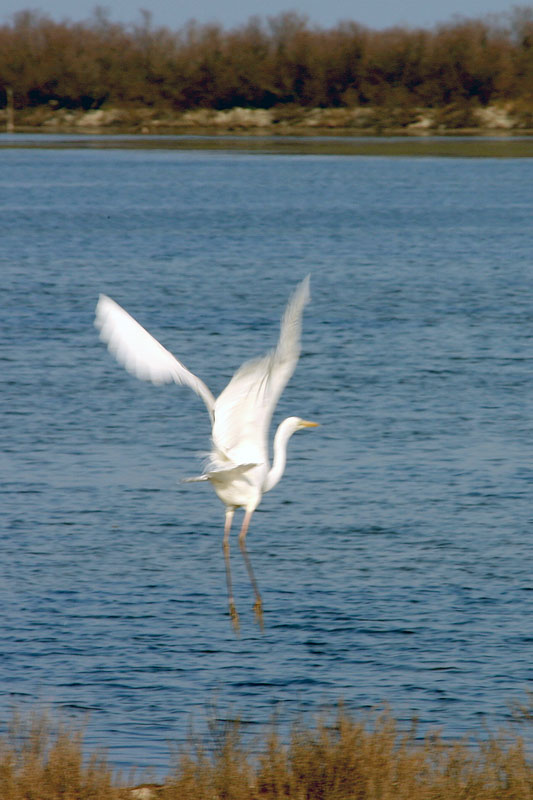 IMG_3892.jpg