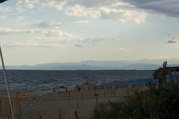 IMG_3894.jpg