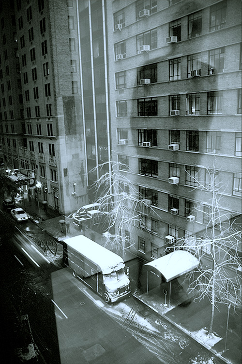 IMG_3950_2.jpg