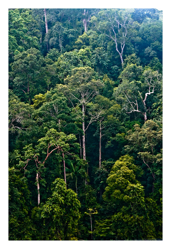 IMG_4-Edit.jpg