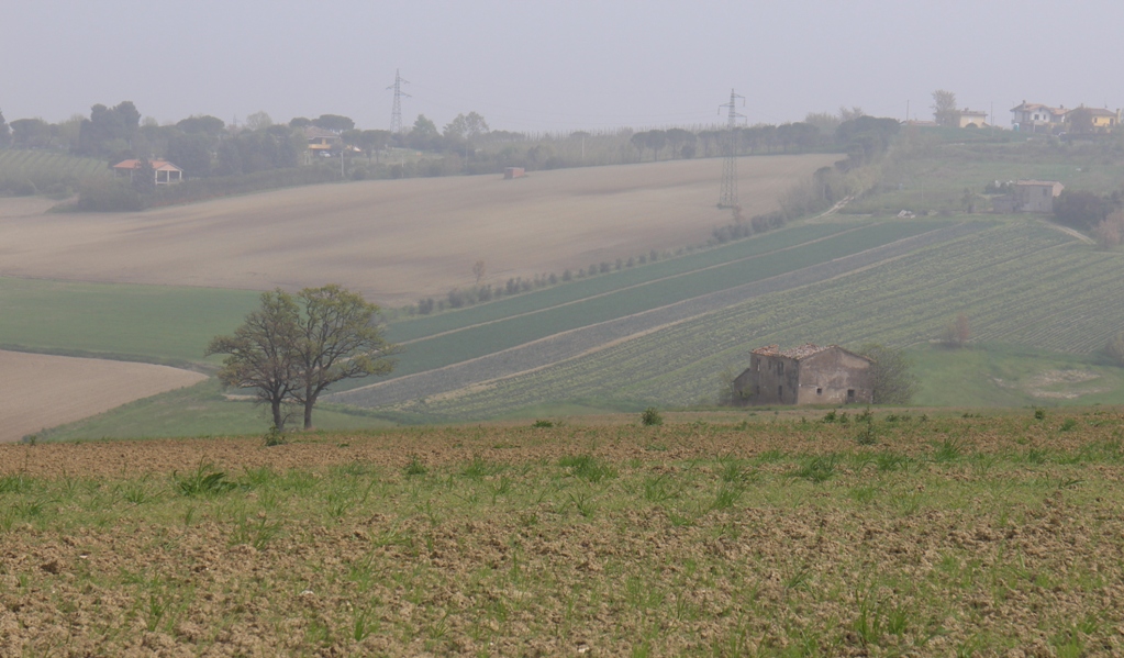 IMG_4038 (2).JPG