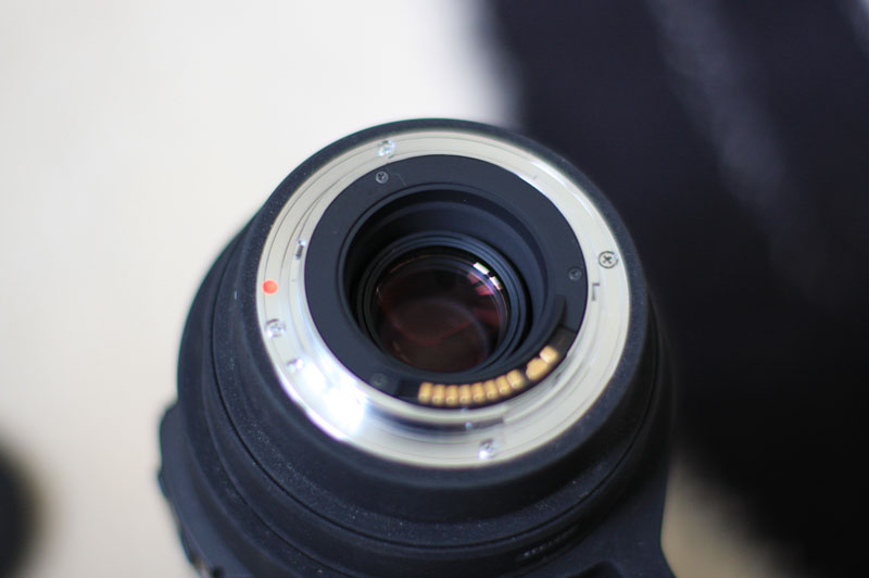 IMG_4039_rid.jpg