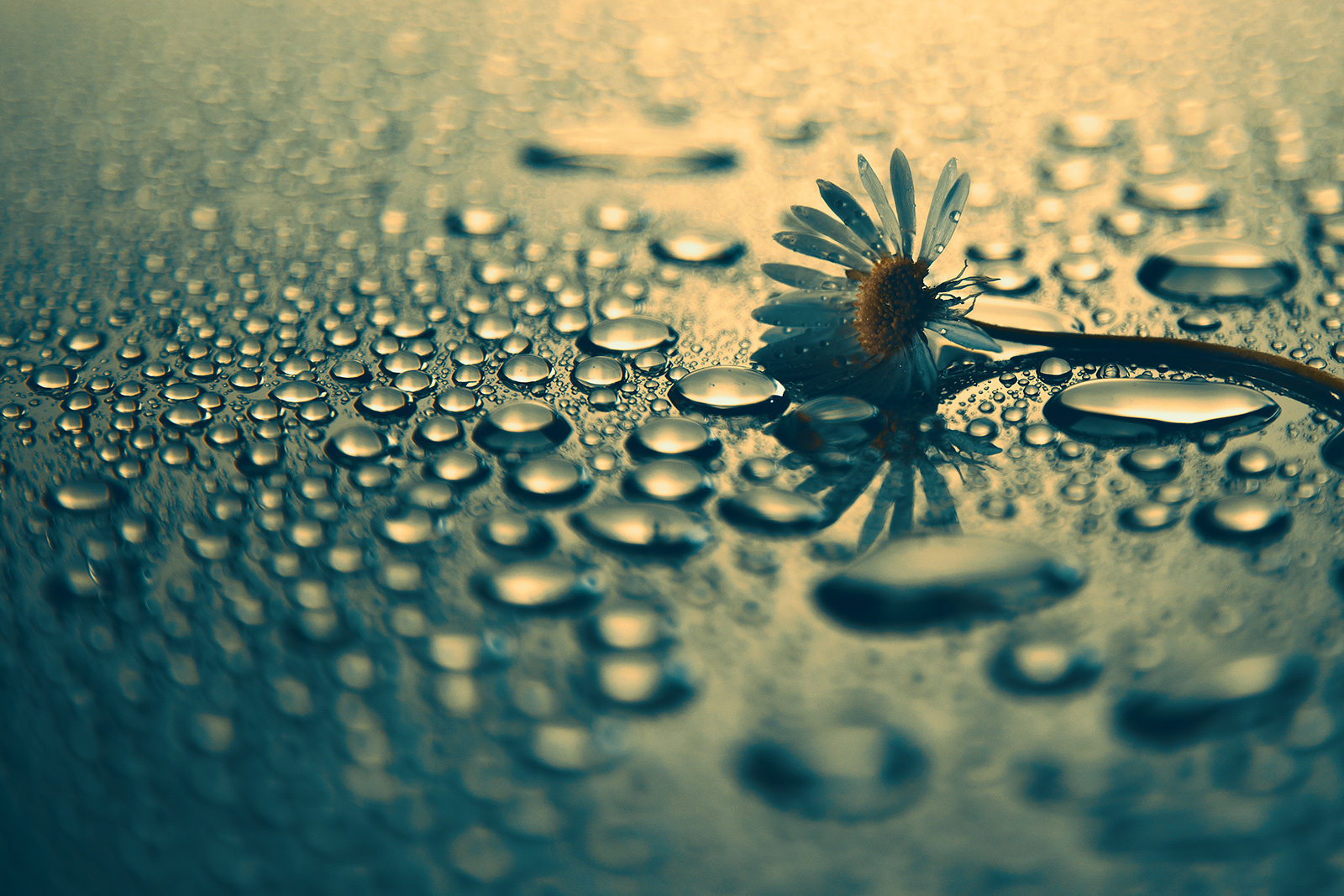 IMG_4040-xweb8.jpg