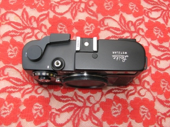 IMG_4062v.JPG