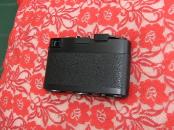 IMG_4066v.JPG