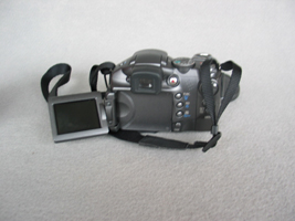 IMG_4317.jpg1.jpg