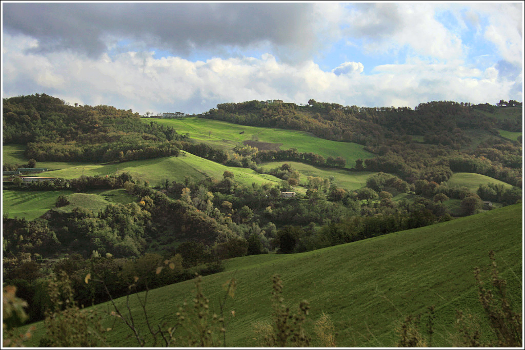img_4446_932 copia.jpg
