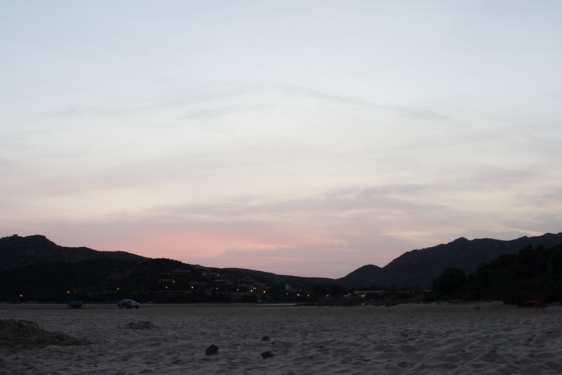 IMG_4513 raw.jpg