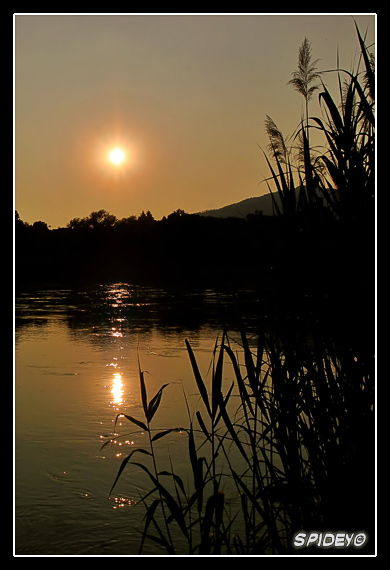 IMG_4530 copia.jpg