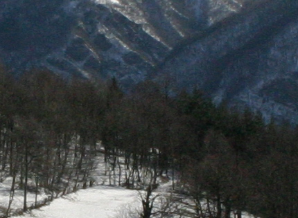 IMG_4615crop.jpg
