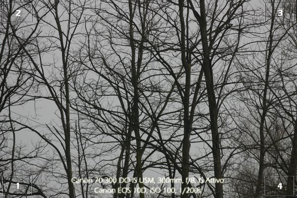IMG_4867_rami.jpg