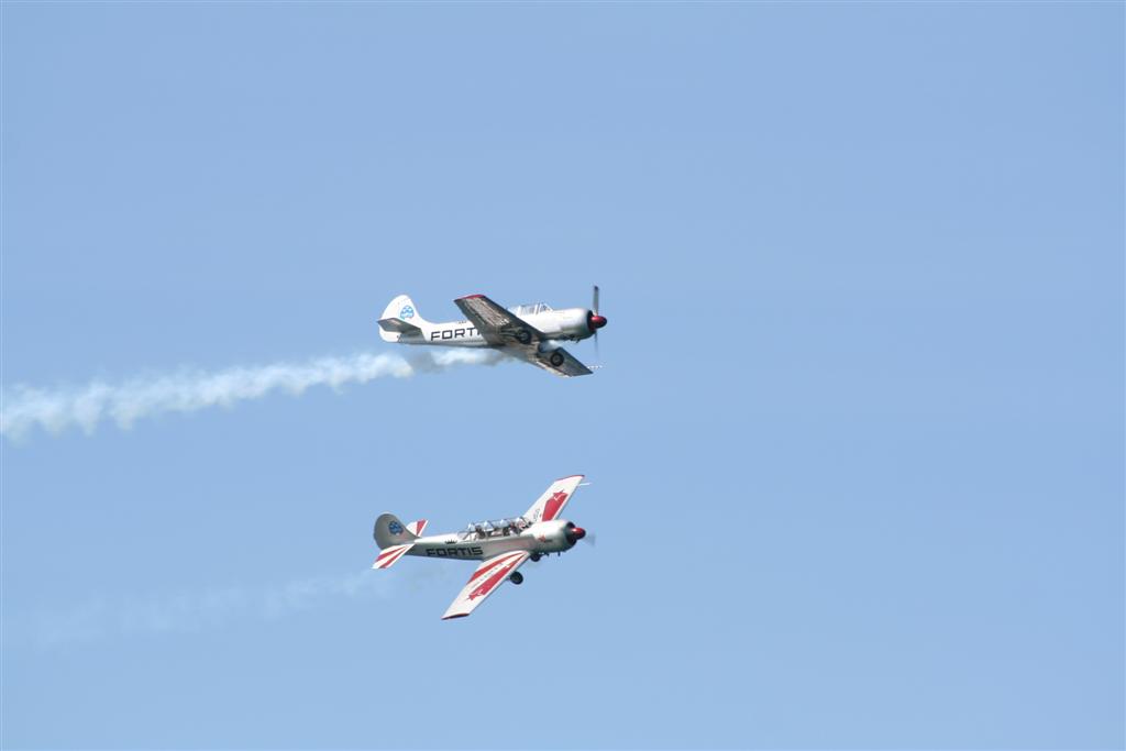 IMG_4938 (Large).jpg
