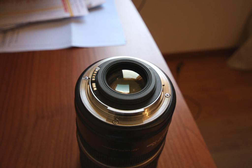 IMG_4959web.JPG