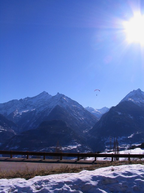 IMG_4965.JPG