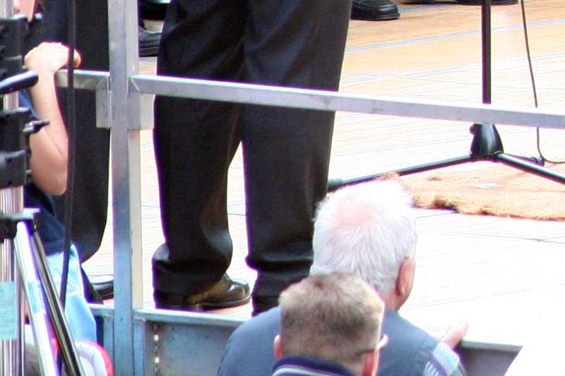 IMG_4980CROP.jpg