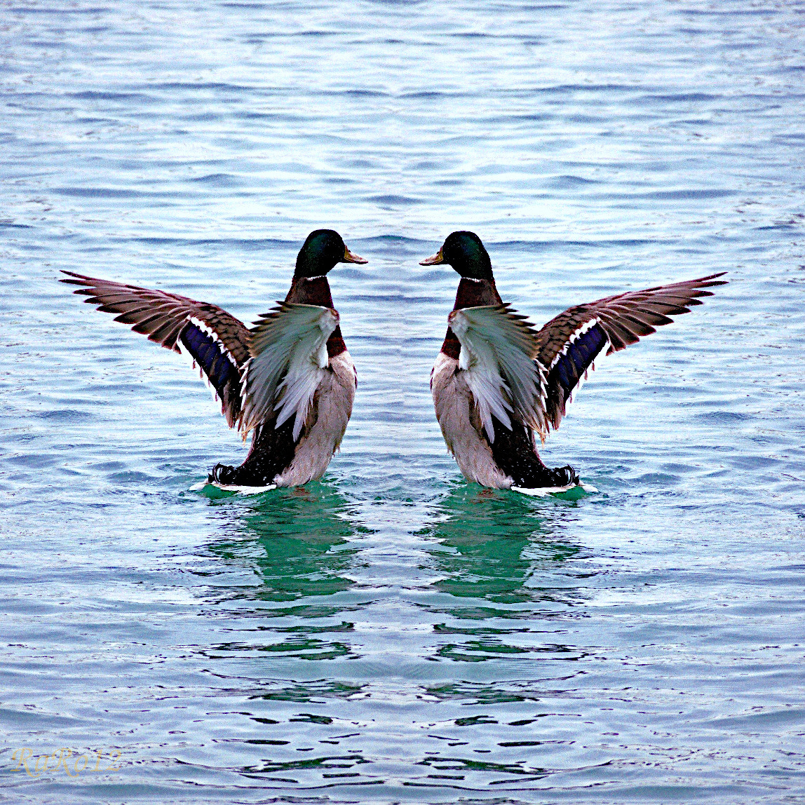 IMG_51012.jpg