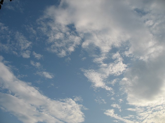 IMG_5173.jpg