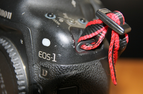 IMG_5180.JPG