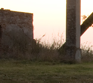 IMG_5237_crop.jpg