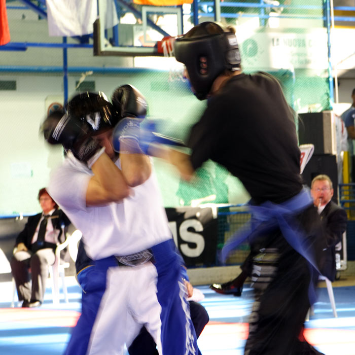 IMG_5255s.jpg