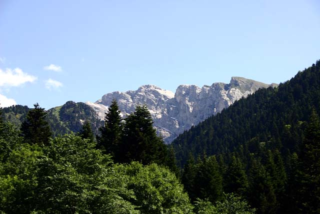 IMG_5428.jpg