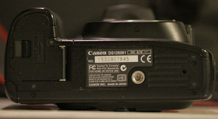 IMG_5538.jpg