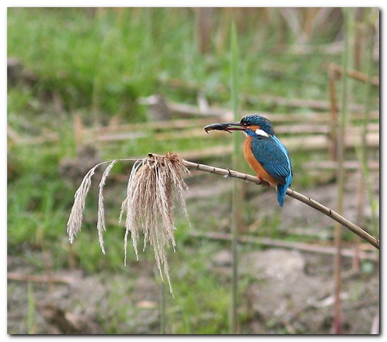 IMG_5633.jpg