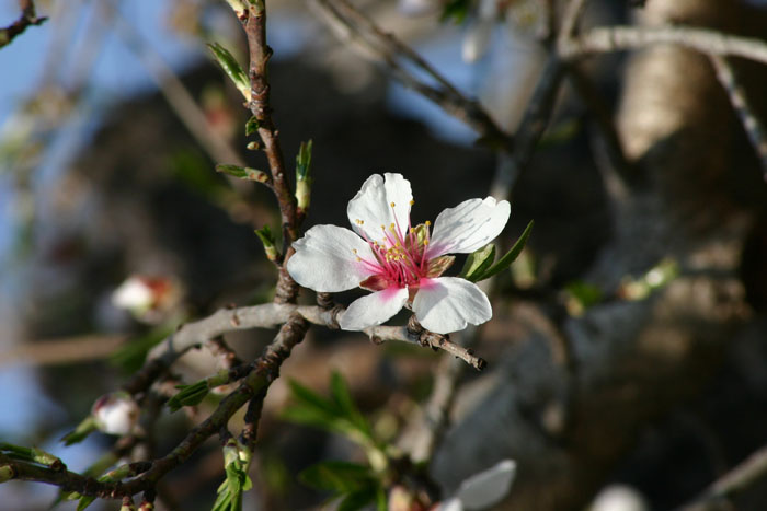IMG_5666mm.jpg