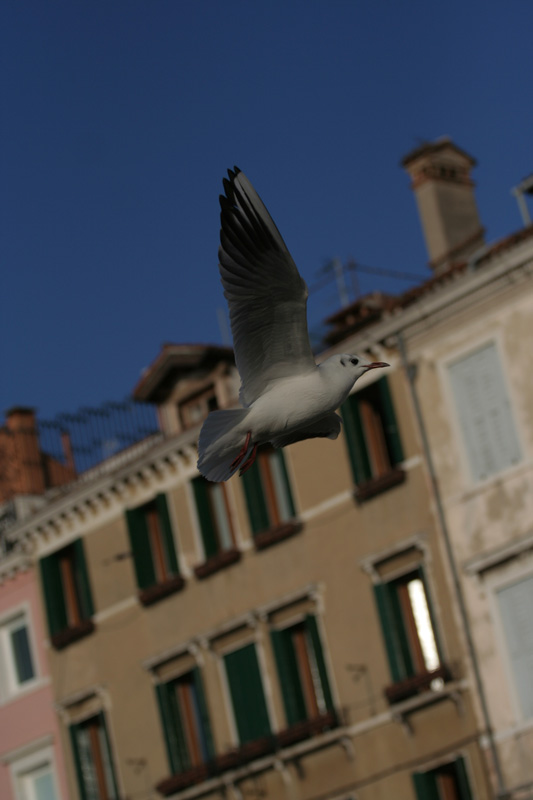 IMG_5677.jpg