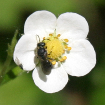 IMG_5771-crop.jpg