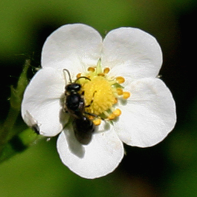 IMG_5771-edit-crop.jpg