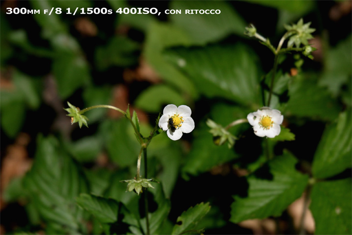 IMG_5771-edit-full.jpg