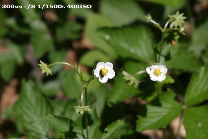 IMG_5771-full.jpg