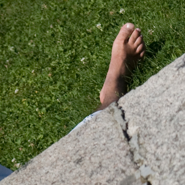 IMG_6320_crop.jpg