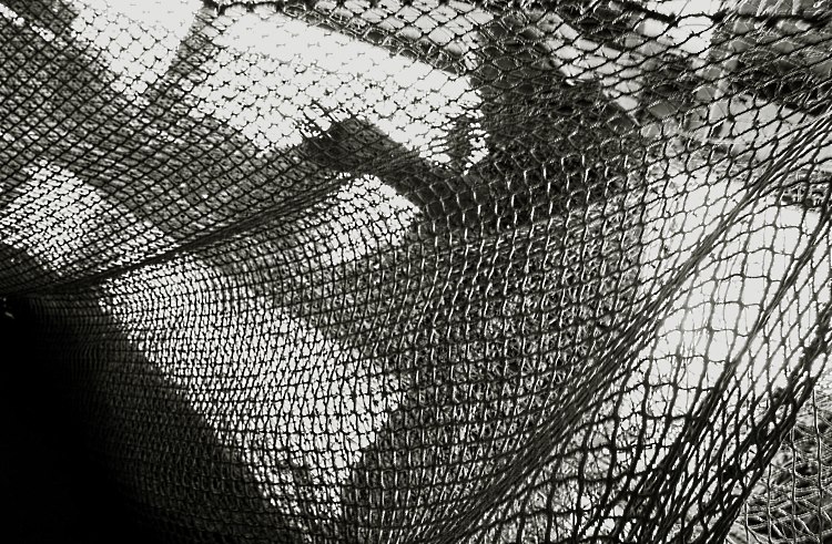 IMG_6351_bw4y.jpg
