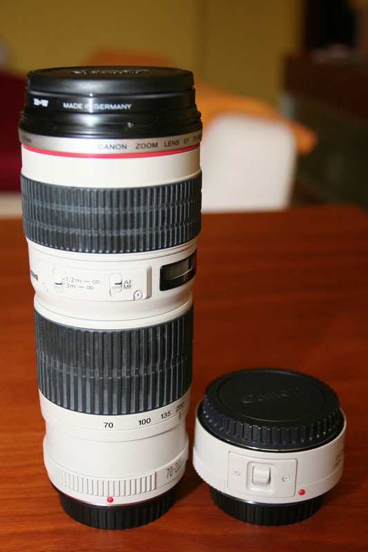 IMG_6380.jpg