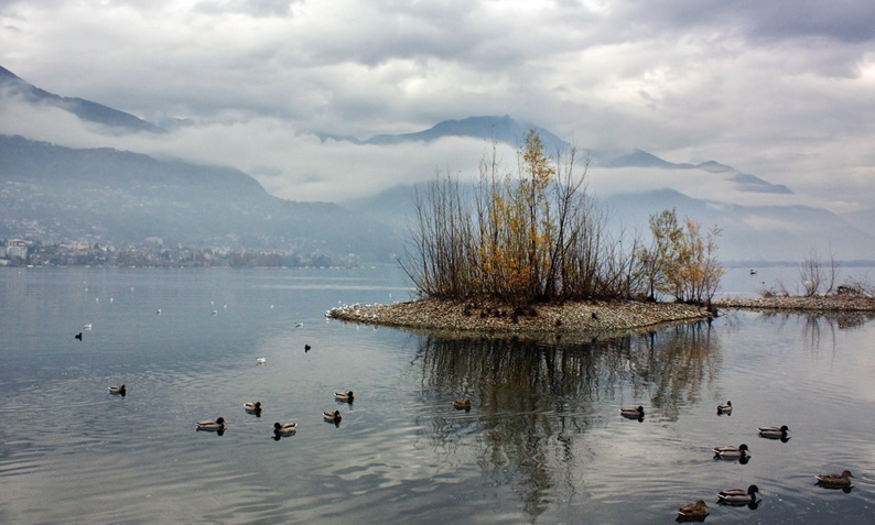 IMG_6381a_rid.jpg