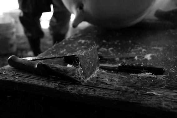IMG_6463 a.jpg