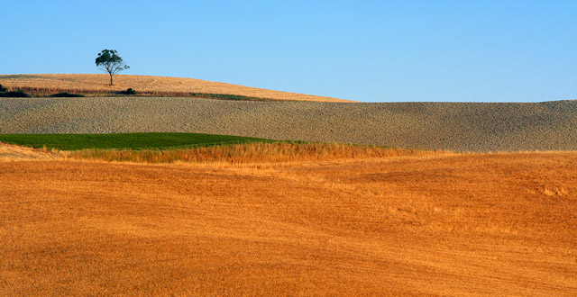 IMG_6498_2.jpg