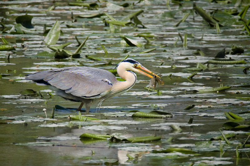 IMG_6557-Edit.jpg