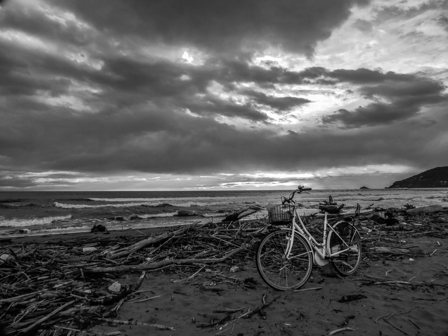 IMG_6627_bw.jpg