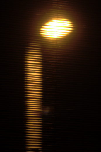 IMG_6698.jpg